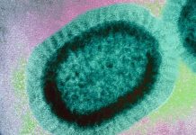 Time to increase the understanding of influenza vaccine effectiveness Time to increase the understanding of influenza vaccine effectiveness