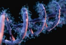 What do you know about the mobile bedside bioprinter that can heal wounds? What do you know about the mobile bedside bioprinter that can heal wounds?