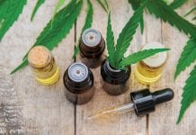 What do you know about the therapeutic benefits of Cannabis oil?