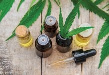What do you know about the therapeutic benefits of Cannabis oil? What do you know about the therapeutic benefits of Cannabis oil?