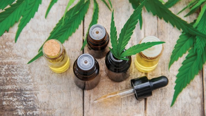 What do you know about the therapeutic benefits of Cannabis oil?
