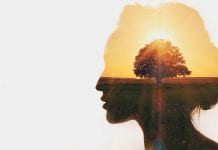 Let’s talk cognitive evolution, tool development and social complexity Let’s talk cognitive evolution, tool development and social complexity