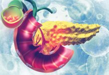 The artificial pancreas: taking a closer look at type 1 diabetes The artificial pancreas: taking a closer look at type 1 diabetes