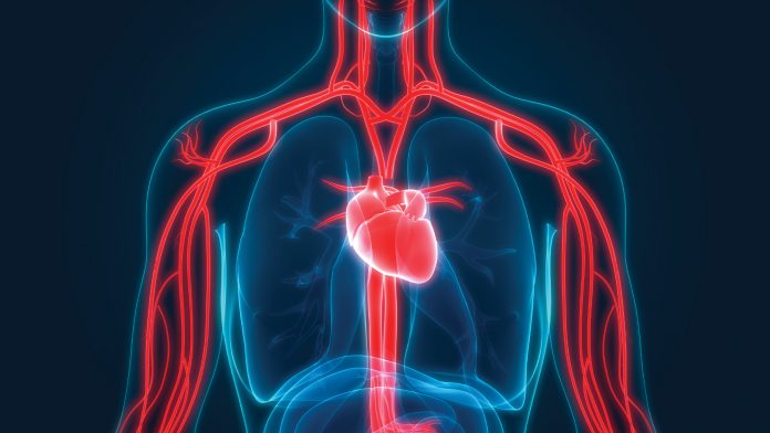 OXIMONITOR: a medical revolution in circulatory failure