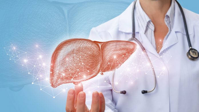 Have investigators discovered what triggers autoimmune liver diseases?