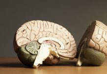 Researchers have uncovered 104 high-risk genes for schizophrenia Researchers have uncovered 104 high-risk genes for schizophrenia