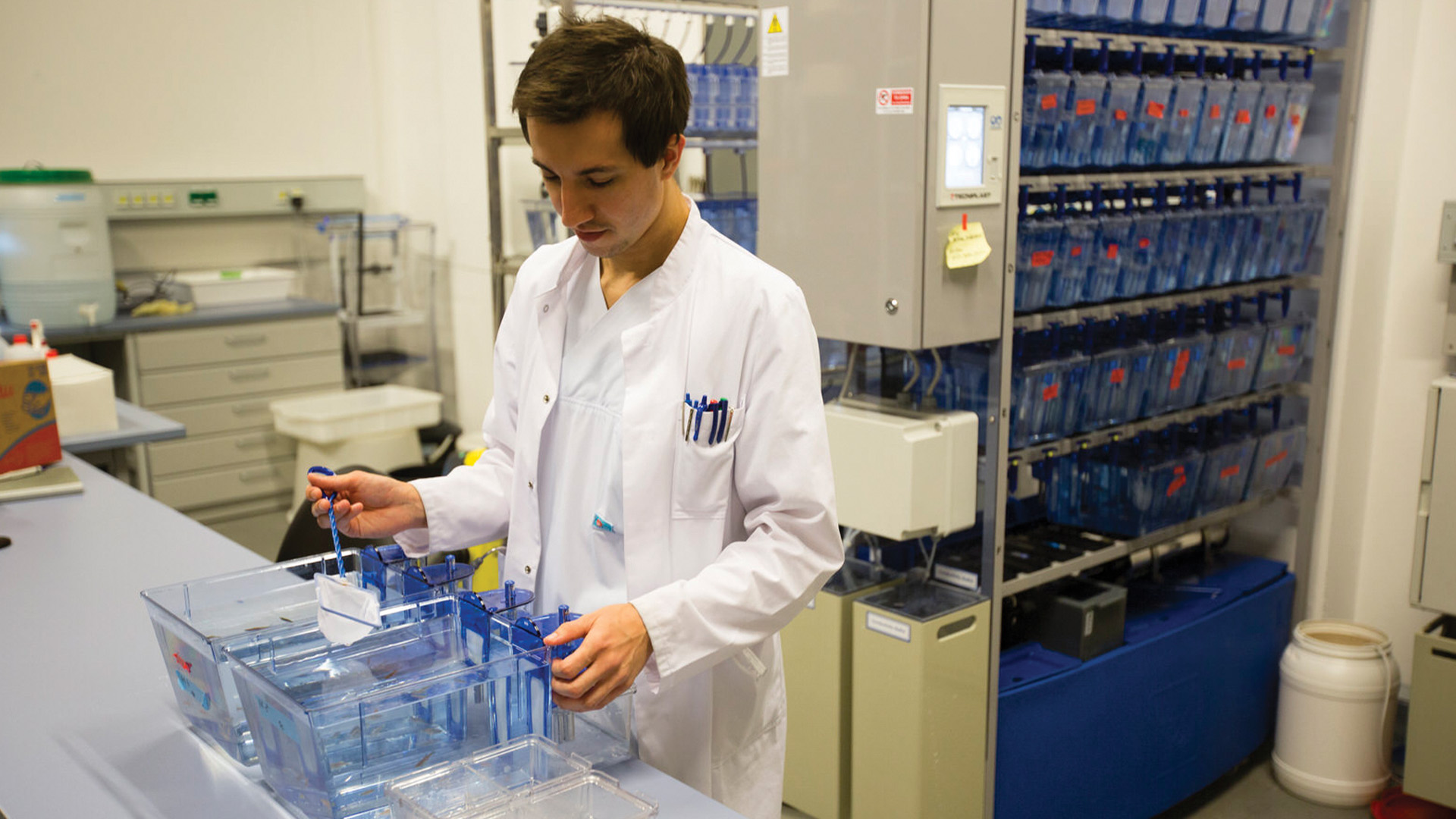 Do you know how to trace the genetic causes of congenital heart defects?