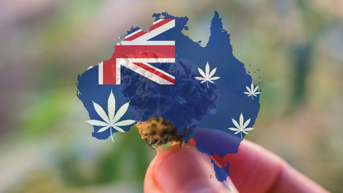 Learn about the missing ingredient in medicinal cannabis acceptance