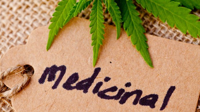 Discover the new medicinal cannabis manufacturer in Australia