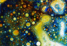 Discover the new compound which kills antibiotic resistant gram-negative bacteria Discover the new compound which kills antibiotic resistant gram-negative bacteria