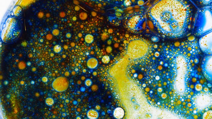 Petri dish with colourful pigments and liquid. Discover the new compound which kills antibiotic resistant gram-negative bacteria