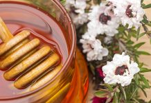 Discover how Manuka honey can kill drug resistant bacteria found in cystic fibrosis infections