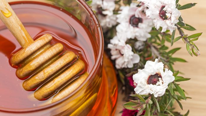 Discover how Manuka honey can kill drug resistant bacteria found in cystic fibrosis infections