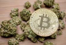 Why are cryptocurrency entrepreneurs flocking to the CBD industry?