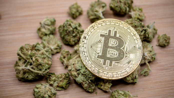 Why are cryptocurrency entrepreneurs flocking to the CBD industry?