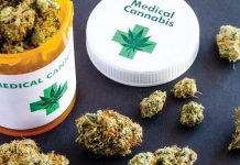 Fundación CANNA: Cannabis research, scientific studies and analysis