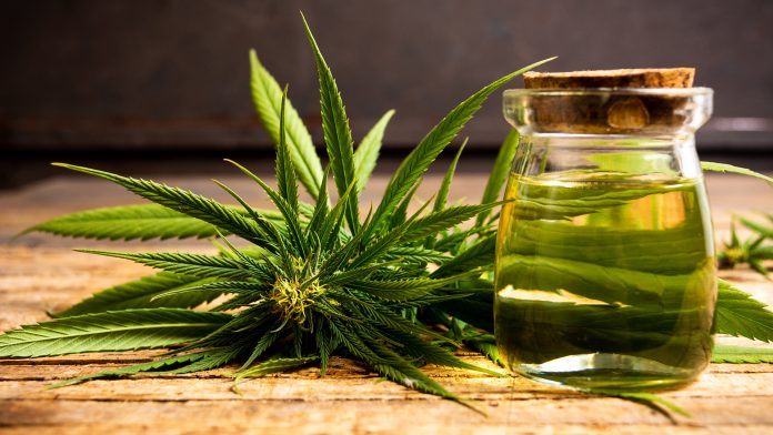 European Cannabis Week: unveiling the evolving medical cannabis industry