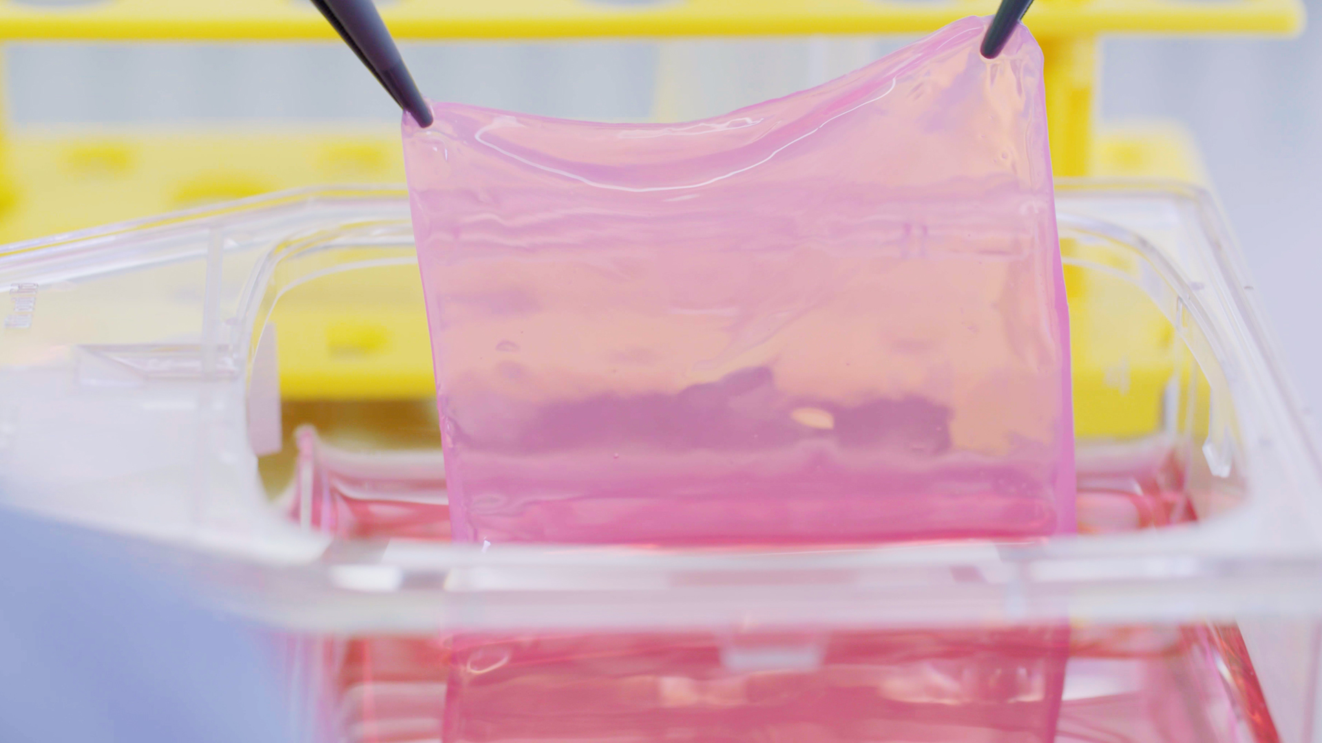 Discover CUTISS’ personalised, automated skin tissue therapy