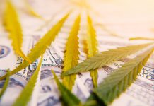 Calling on the UK CBD sector to have better regulation and reform Calling on the UK CBD sector to have better regulation and reform