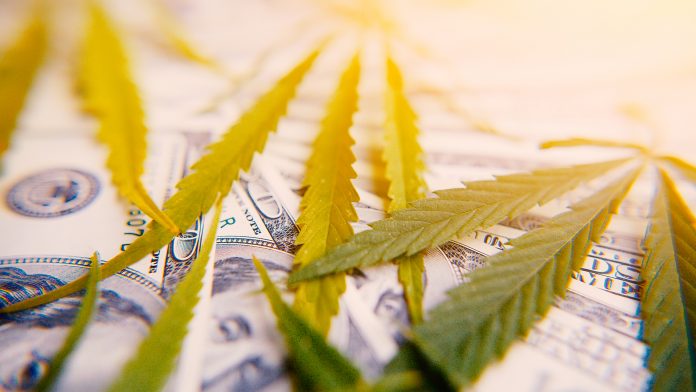 Money with sheet of marijuana close-up on background of one hundred dollars with an artificial ray of light, high quality image. Thematic photos of hemp and cannabis Calling on the UK CBD sector to have better regulation and reform