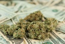 Discover the medtech startup’s taking on the world of medical cannabis Discover the medtech startup’s taking on the world of medical cannabis