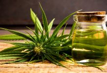 20 Health benefits of cannabis that everyone should know 20 Health benefits of cannabis that everyone should know