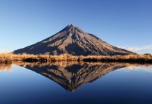 People, innovation, and sustainability at the heart of the medicinal cannabis sector People, innovation, and sustainability at the heart of the medicinal cannabis sector