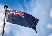Let’s explore New Zealand’s ‘Medicinal Cannabis Scheme’