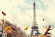 Learn about the potential launch of therapeutic cannabis in France Learn about the potential launch of therapeutic cannabis in France