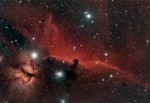 What do you know about the effects of space travel on the human body? What do you now about the effects of space travel on the human body?