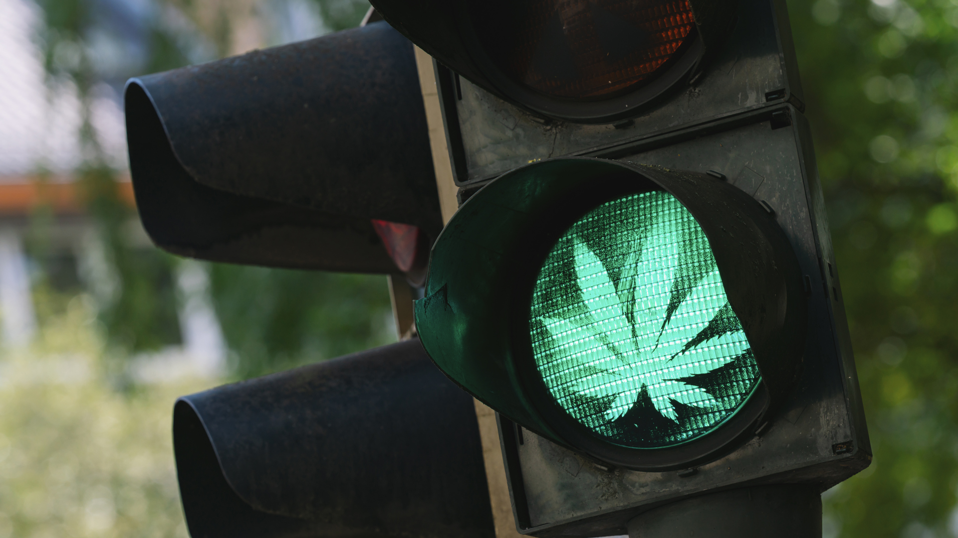 XPhyto Therapeutics Corp expanding the realms of cannabis cultivation