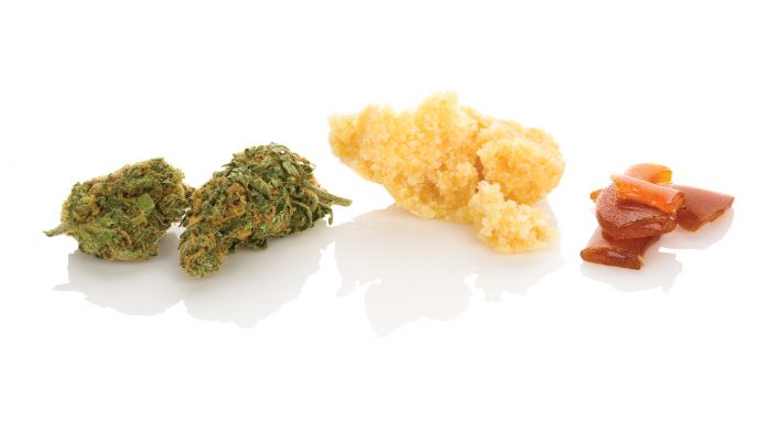 From rosin to shatter: understanding cannabis concentrates