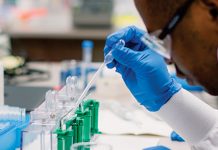 Presenting Go Life International, the South African company taking on the cannabis industry Presenting Go Life International, the South African company taking on the cannabis industry