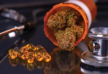 KANNAB: the world of medical cannabis science