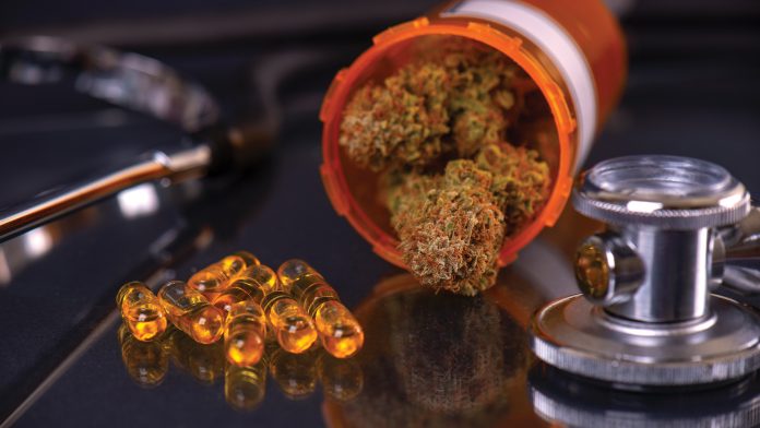 KANNAB: the world of medical cannabis science