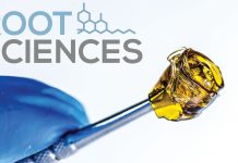 Root Sciences: the scalable solution for cannabis distillation Root Sciences: the scalable solution for cannabis distillation