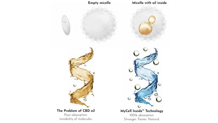 H10 SWISSPH1 24984 pro sc image The absorption of CBD: does CBD oil have no future?