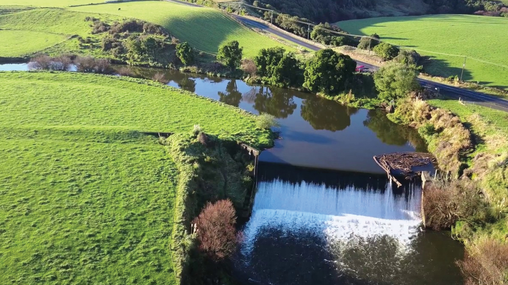 People, innovation, sustainability at the heart of medicinal cannabis start-up