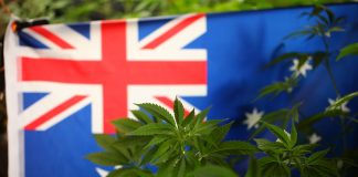 Australia medical cannabis