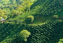 The first and only quota granting the processing and export of psychoactive cannabis The first and only quota granting the processing and export of psychoactive cannabis