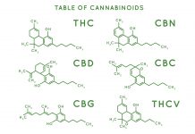 How can we improve awareness of cannabis as a medicine within the medical community?