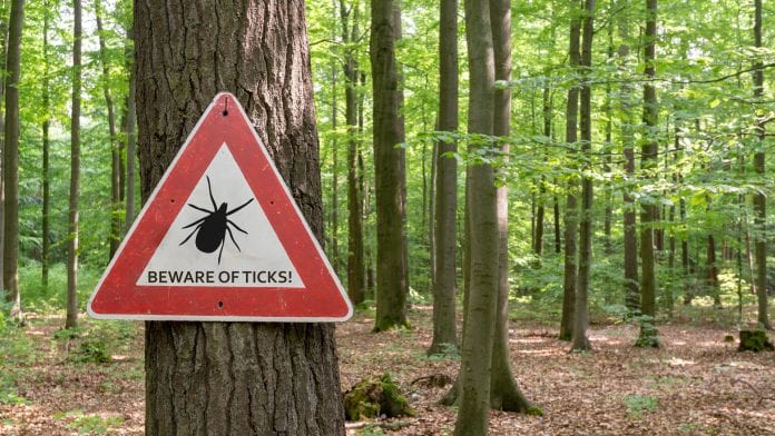 tick iStock-gabort71
