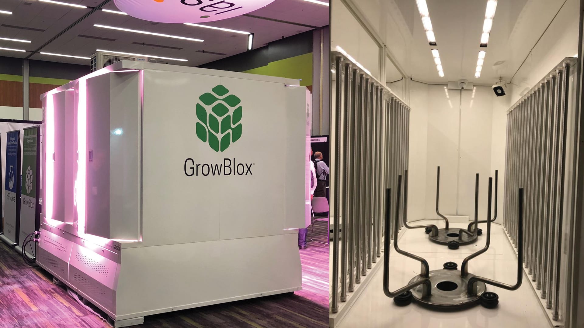 IASO CORP: developing solutions and investing in cannabis