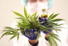 Study shows that cannabis combats stress, anxiety and depression