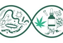CBD as an antibiotic: promise as a weapon to fight superbugs