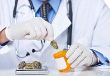 Online platforms help patients and professionals understand cannabis