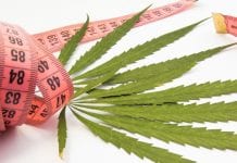 Research shows cannabis users weigh less than those that do not use it