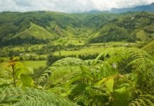 Colombia the land of opportunity: cannabis licences for sale Colombia the land of opportunity: cannabis licences for sale