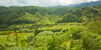 Colombia the land of opportunity: cannabis licences for sale