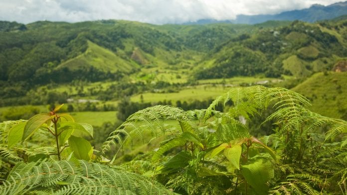 Colombia the land of opportunity: cannabis licences for sale